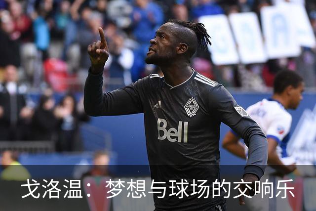 戈洛温：梦想与球场的交响乐